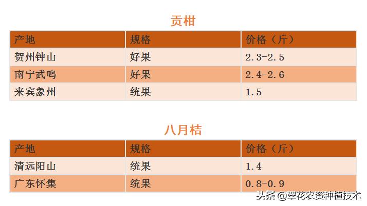 今年南丰蜜桔最新消息,南丰蜜桔滞销视频