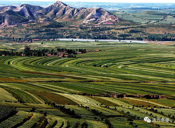 45万奈曼人的名片,太漂亮了!除了中华麦饭石你还知多少?