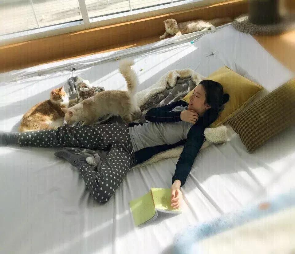 刘亦菲还有哪些经典装扮,刘亦菲胡乱穿搭却很惊艳