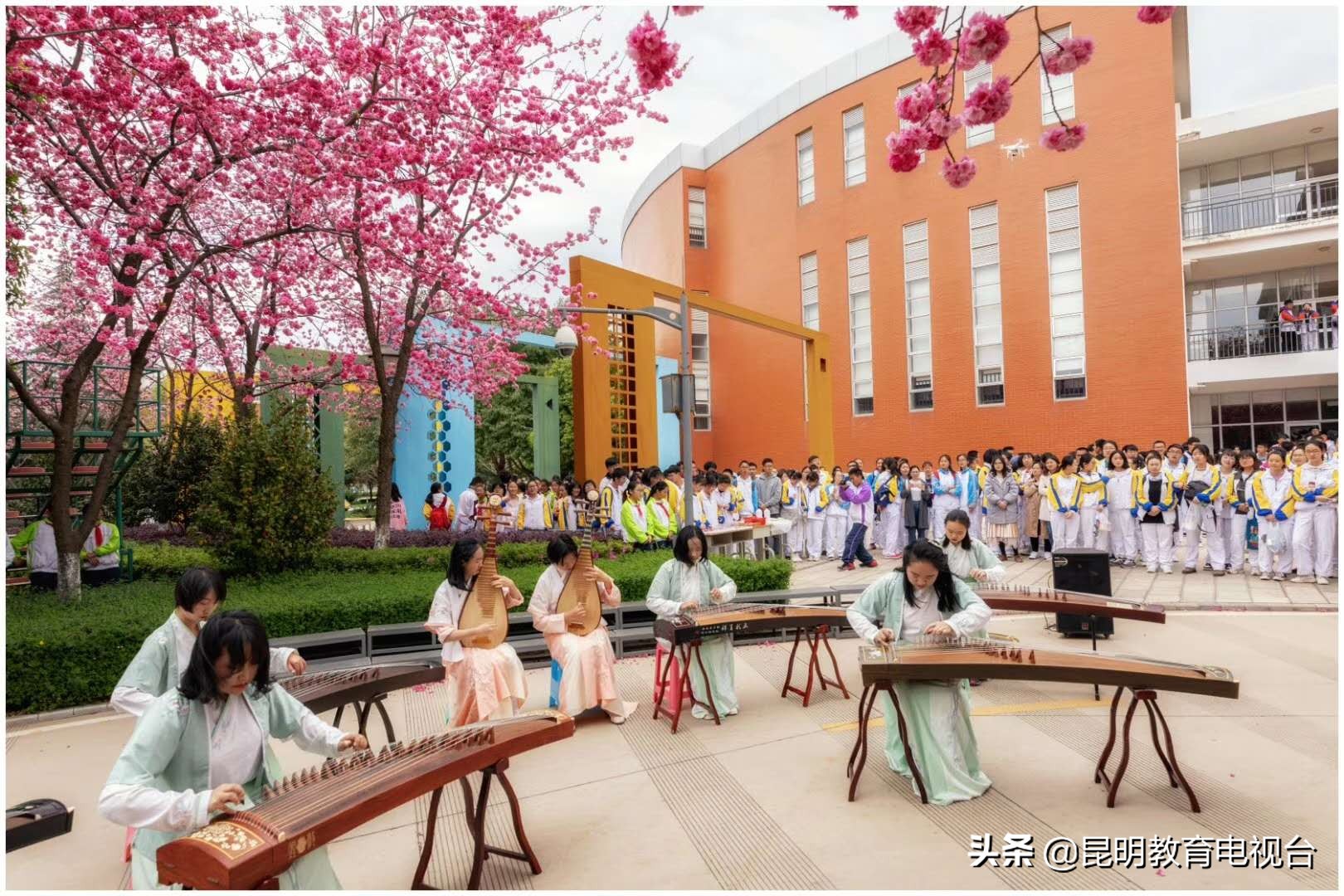 三中“拾”光“樱”为有你——一个师生与樱花的约定