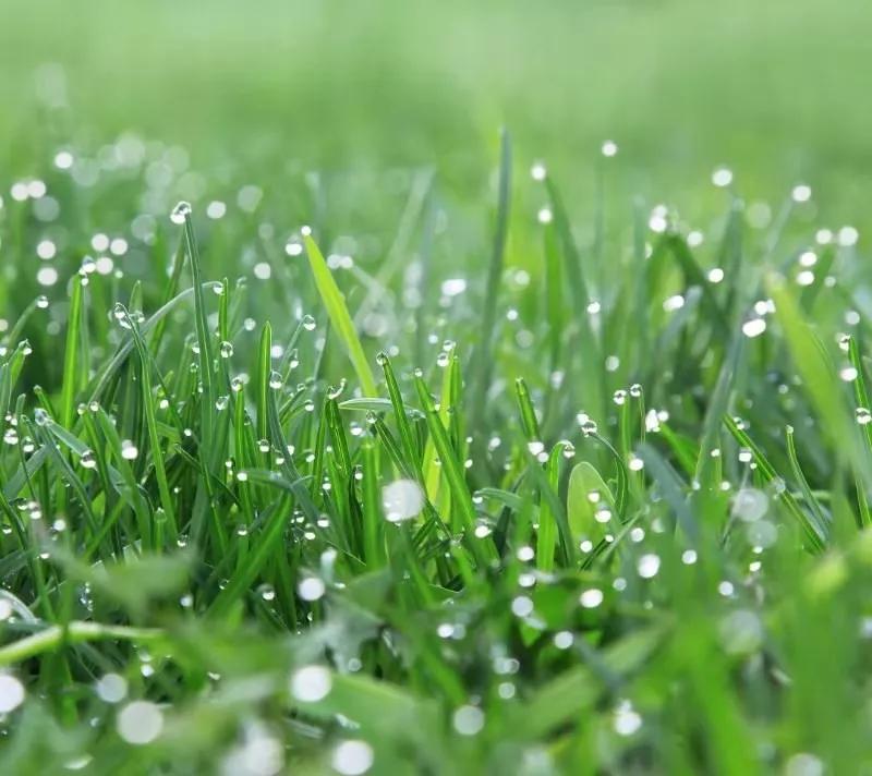 黄建芳湖南嘉禾人,黄建芳小号