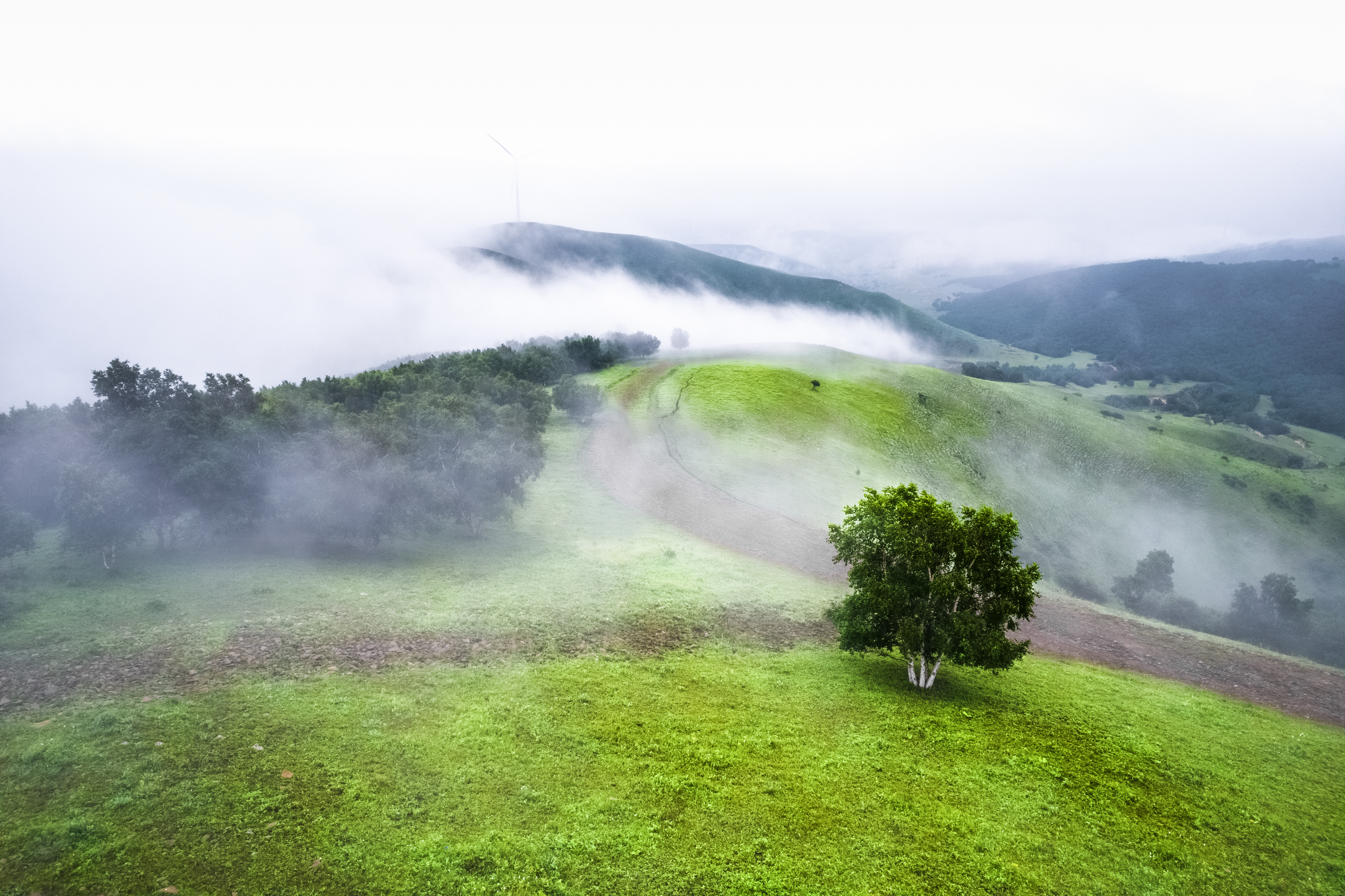 北京草原7天旅游攻略大全,距离北京最近的草原自驾游攻略