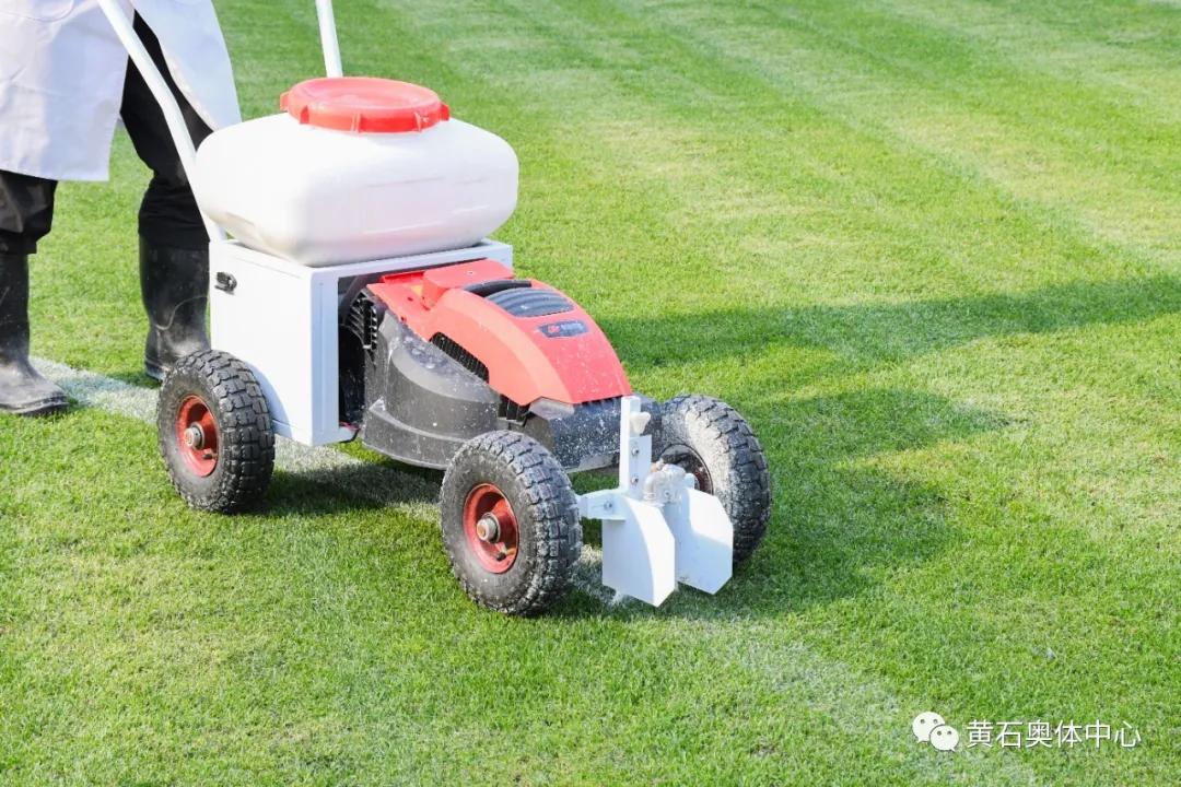 毛铺紫荞酒2019,毛铺紫荞酒1.68l