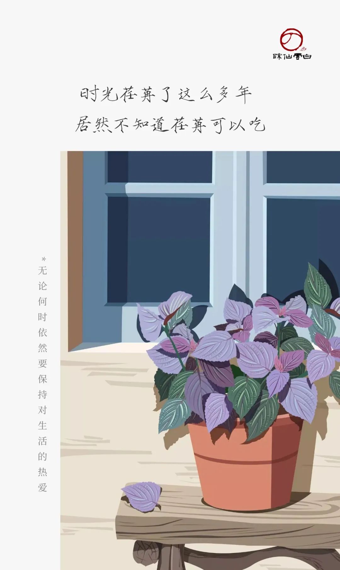 送你一片薄荷叶小说,送你一片银杏叶朗诵