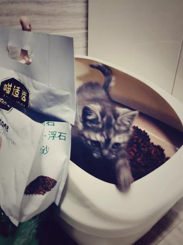 谋定而动原文,谋定而动是谁说的