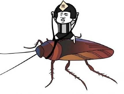 巨型蟑螂南方大蟑螂,广东巨型蟑螂和北方蟑螂对话