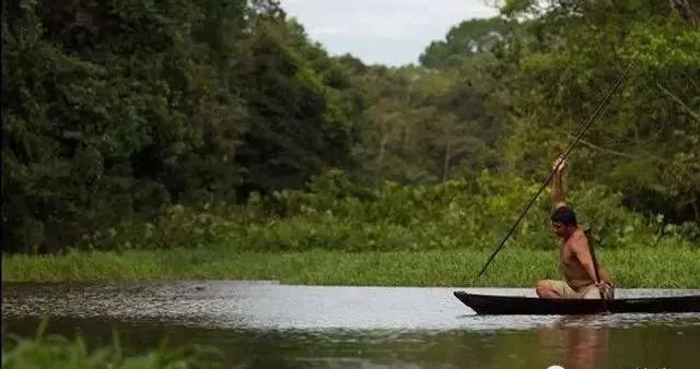 世界十大凶猛淡水鱼类,顶级淡水鱼类