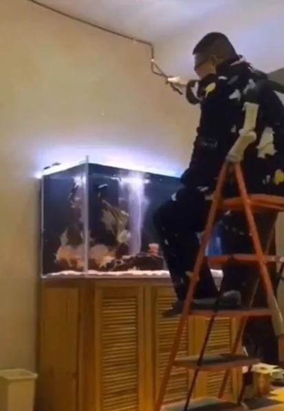 小米鱼缸补水器,小米养鱼神器