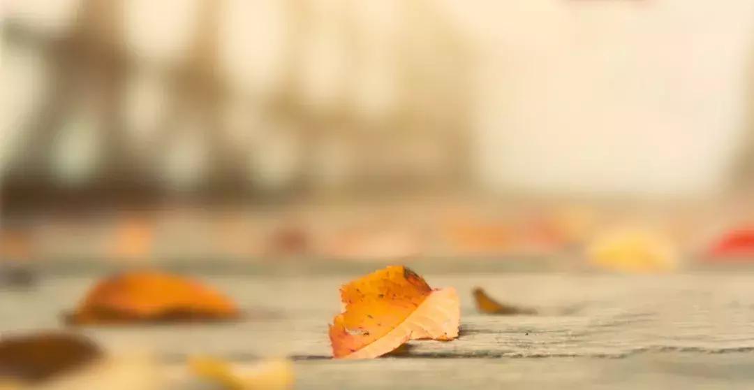 为什么现金贷会变短命贷,现金贷的十大特点