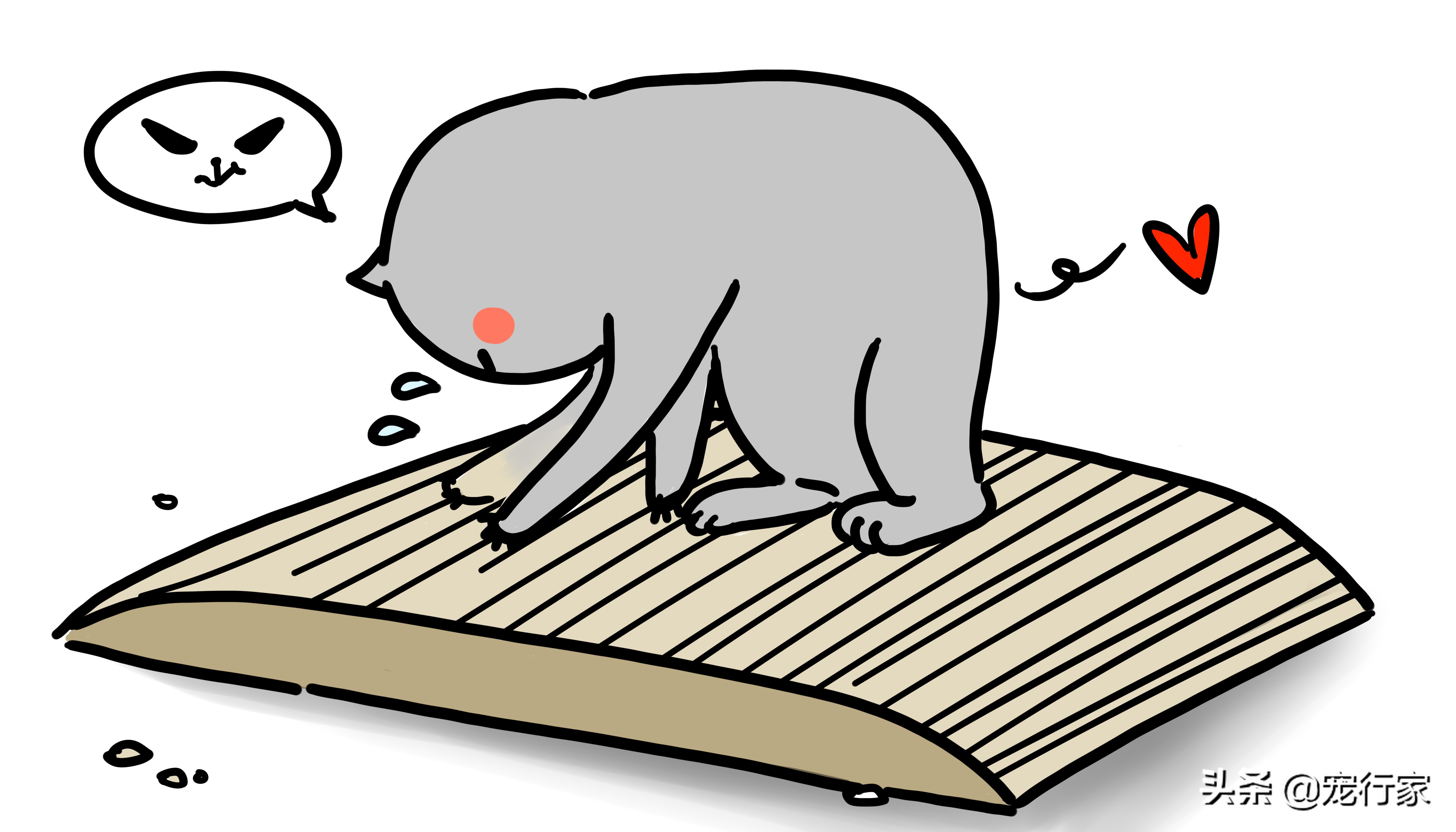 如何训练猫咪不乱抓家具,阻止猫咪乱抓家具的实用技巧