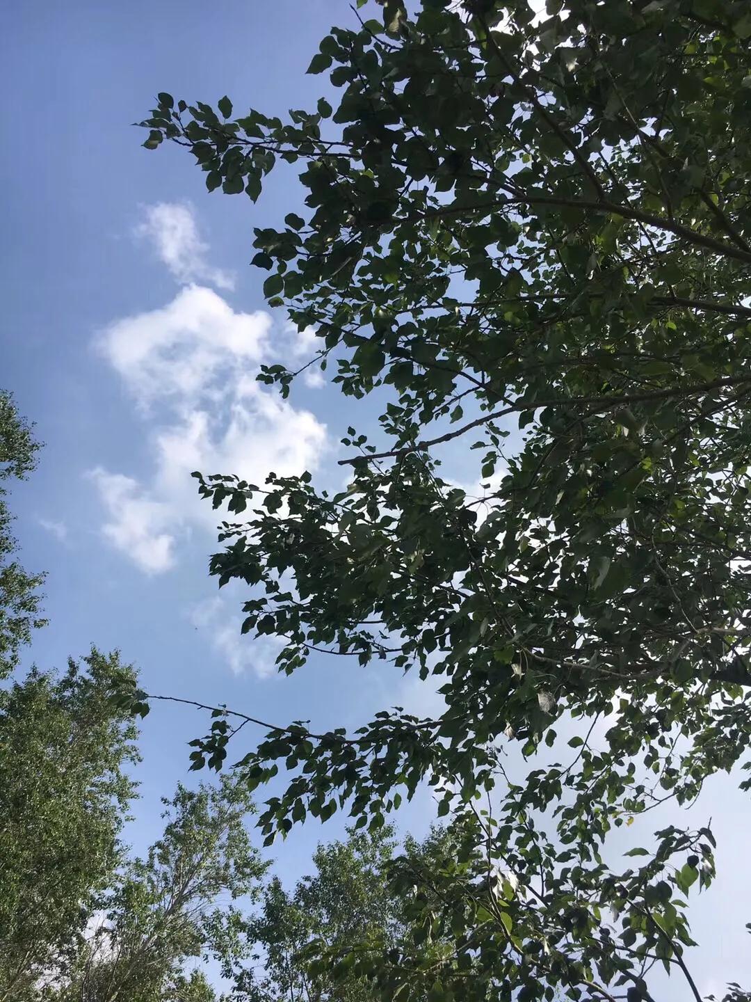 张北天路乌兰布统攻略,天津张北草原天路自驾游攻略