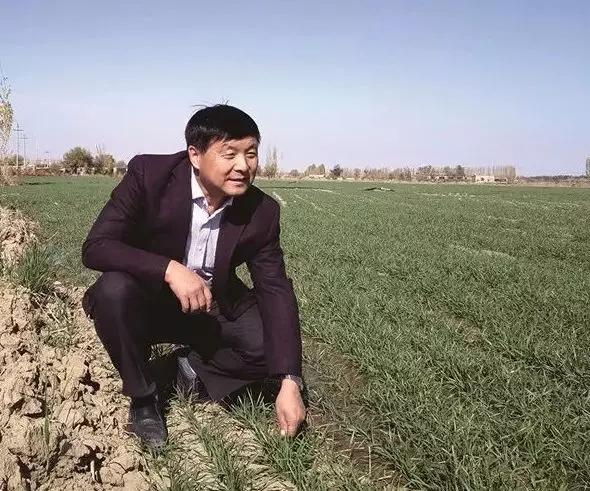 新疆昌吉州奇台县碧流河腰站子村,奇台县腰站子村概况