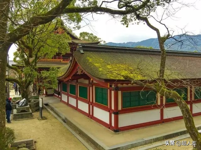 梦旅人｜999元５天日韩邮轮游，靠谱吗?