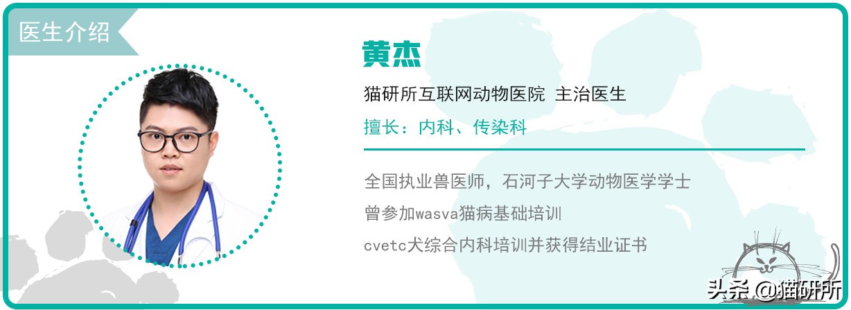 专业宠医答疑:新猫进家前必做的6项体检,万万不可少!