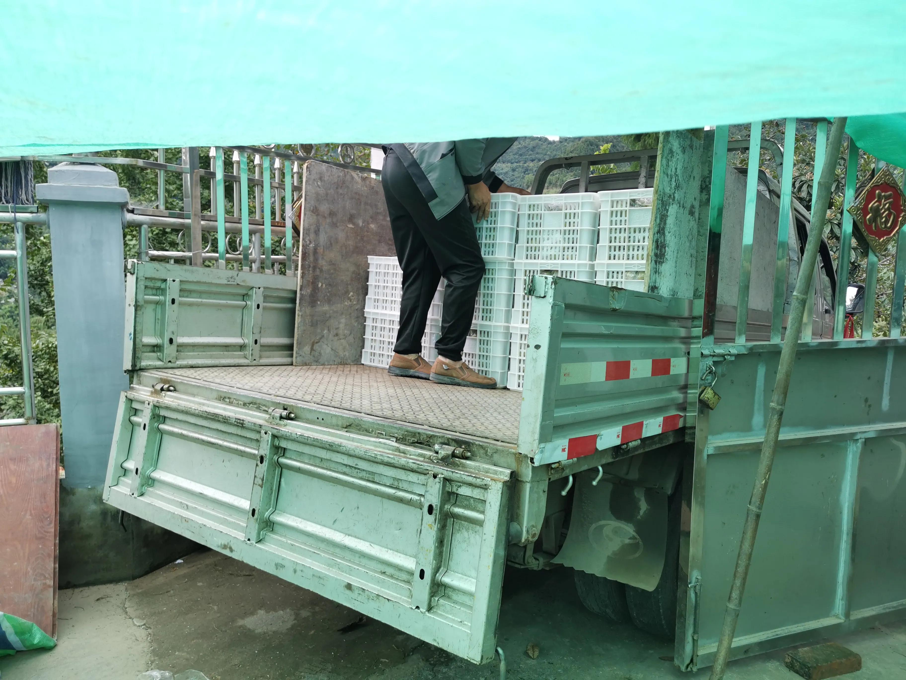 亿万富翁回老家投资2亿建厂,千万富翁回乡搞农业