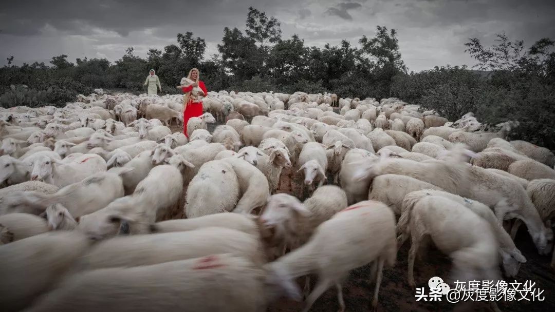 摄影人与自然和谐共生,摄影人像一生有爱