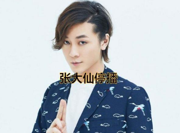 王者荣耀张大仙文章,关于张大仙玩别的游戏的小说