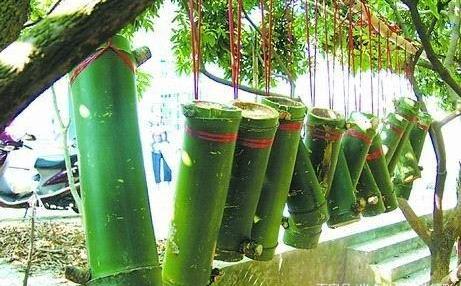 一骑红尘妃子笑说的是哪儿的荔枝,一骑红尘妃子笑的荔枝是哪里来的