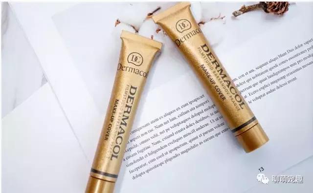 品牌遮瑕膏十大排行榜图片,十大公认遮瑕膏排名