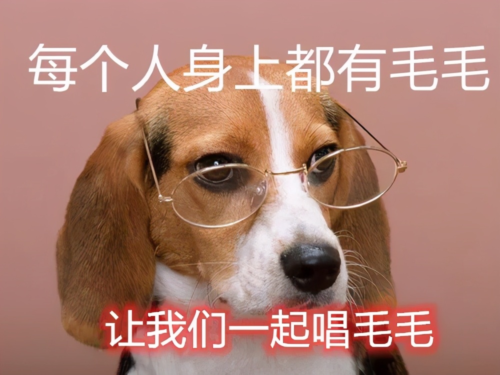 能去鸡皮肤的身体乳测评,身体乳美白去鸡皮祛痘测评