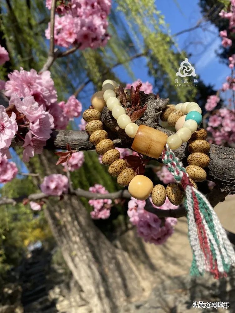 别人盘过的橄榄核手串还能盘吗,橄榄核手串怎么盘玩效果最好