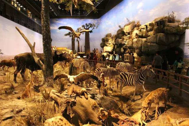 这才是上海最好的牛肉面,近期上海最牛的区