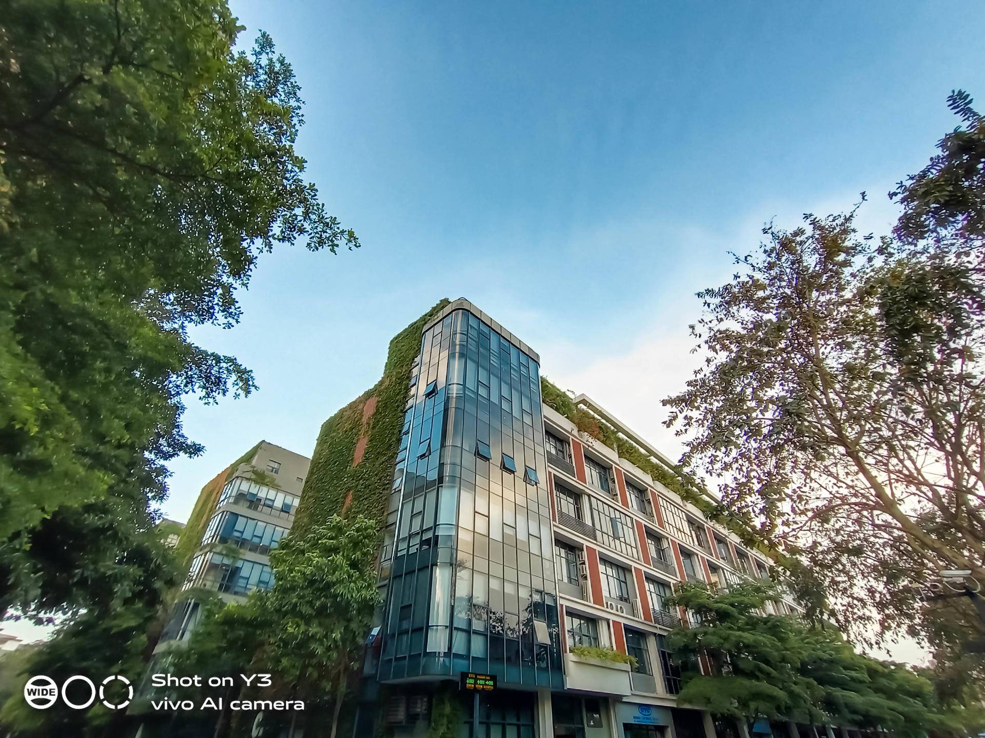 vivoy3标准版实际体验,怎么样提升vivoy3手机性能