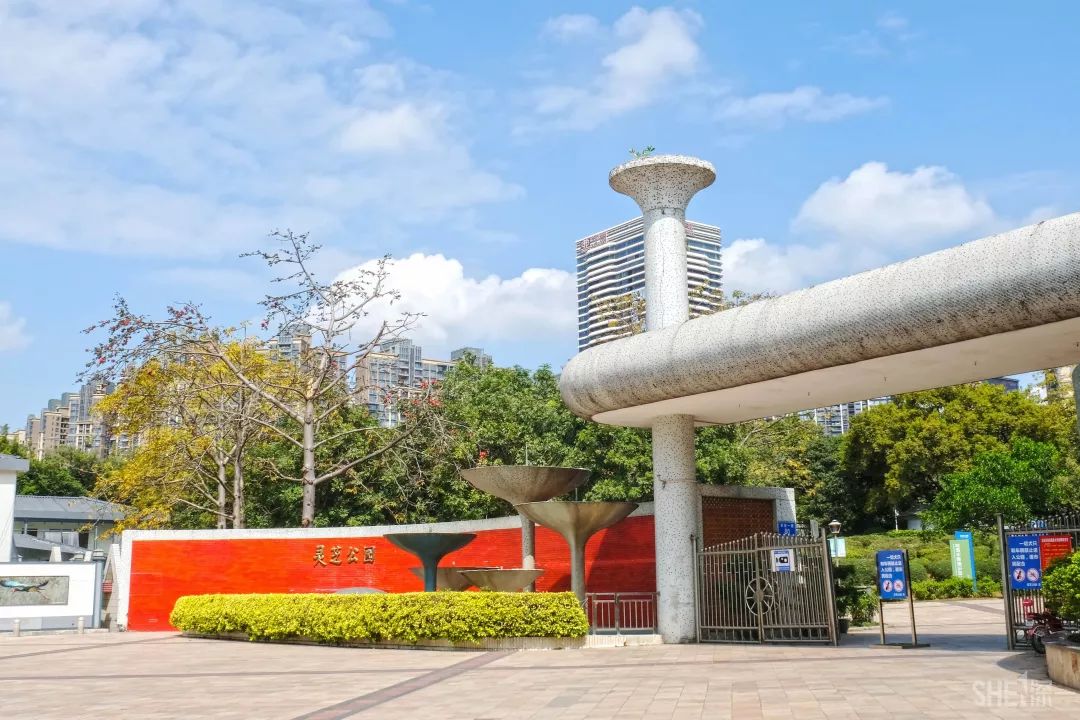 鍘夊浜嗘垜鐨勫ぇ閽﹀窞,鍘夊浜嗘垜鐨勫ぇ淇濆畾