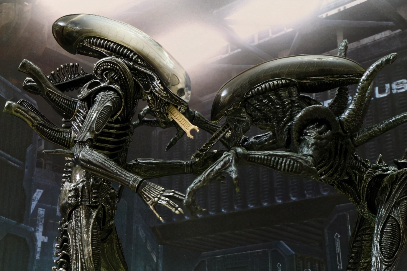 寮傚舰vs閾佽鎴樺＋娣卞害瑙ｈ,涔愰珮閾佽鎴樺＋vs寮傚舰