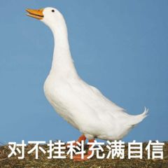 床垫避坑大全及价格,床垫避坑100例