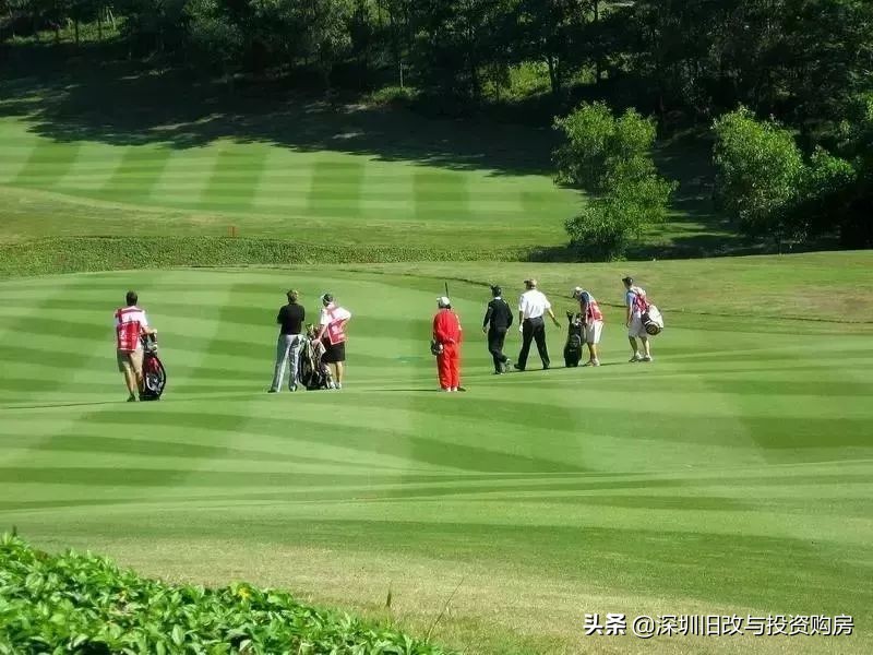 龙华观澜黎光旧村更新,绿景观澜黎光旧改进度