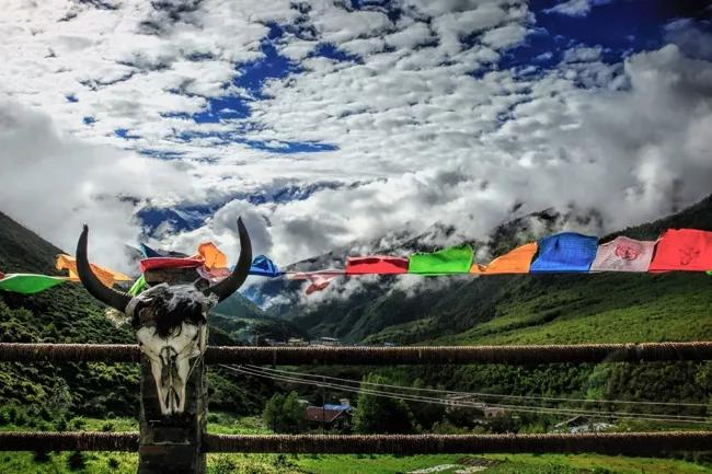 央视镜头下的杨紫文成公主,杨紫文成公主上热搜场面