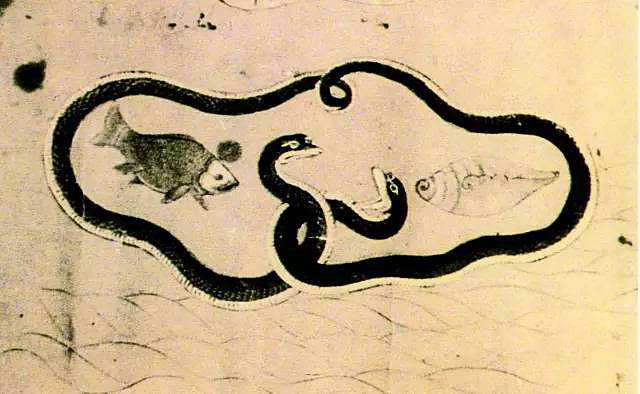 蛇为什么要三年后才报仇,蛇真的会报仇吗