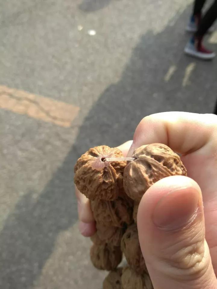 新玩友入圈，这四大“高危”手串假货地，很多人都被坑