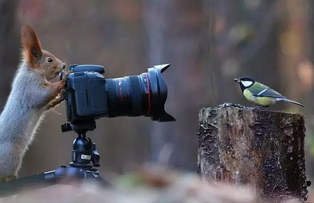 摄影照片清晰度怎么提高,摄影如何让轮廓清晰