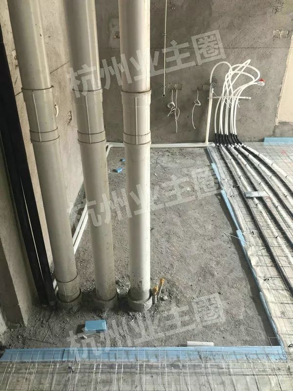 绿都什么意思,绿都包括哪些绿