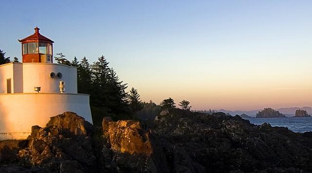 达尔文进化论能套到人类社会吗,达尔文进化论适用于社会学领域吗