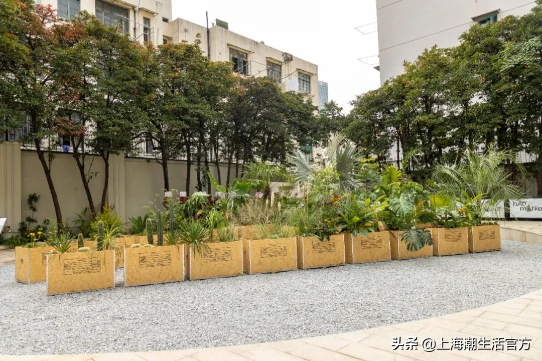 时髦精都在逛的hAomArket好市，一站式承包你的冬日小众好物