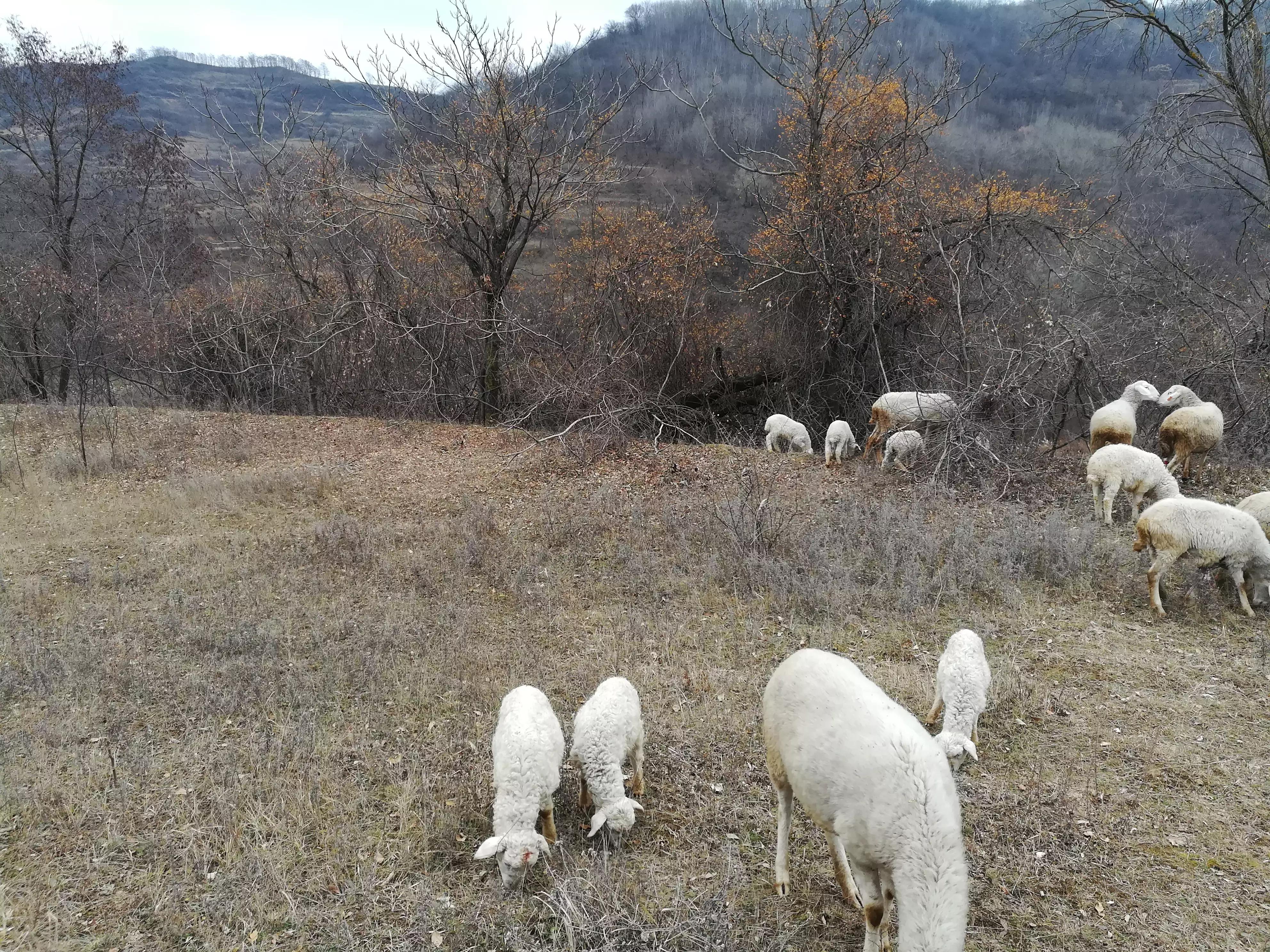 在村里工作有什么困难,在村里做事有意思吗