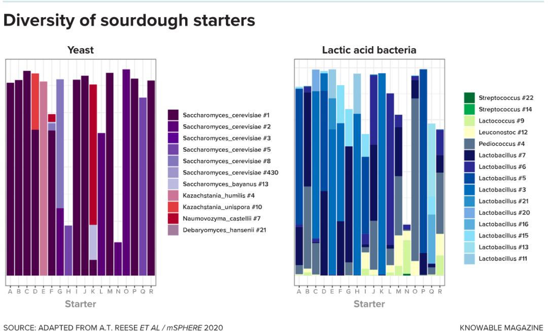 为什么旧金山属于地中海气候,旧金山为什么是美国最富的地区