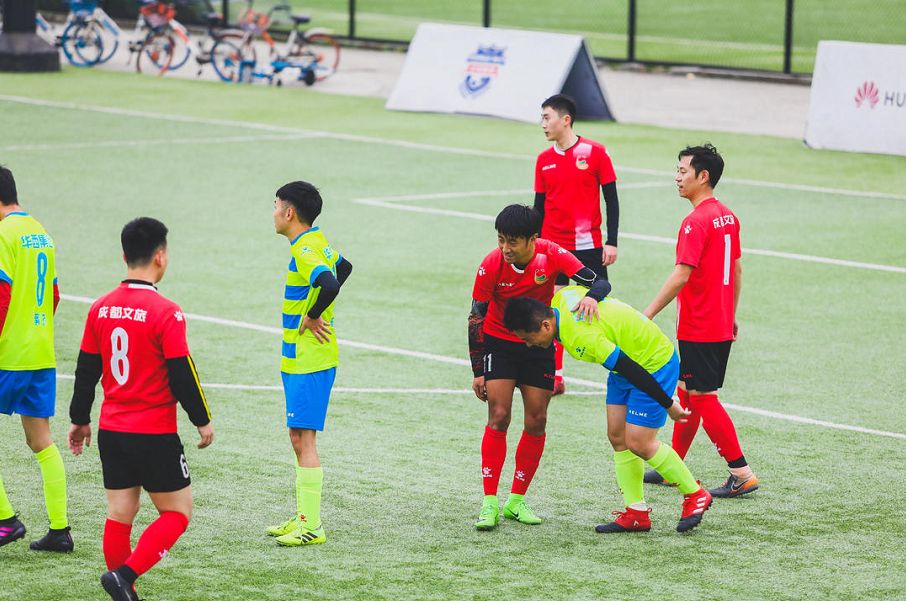 成都文旅熊猫馆直播,成都文旅官方直播