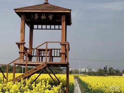 稻花香里说丰年：钱塘大江东采风行｜｜愉悦