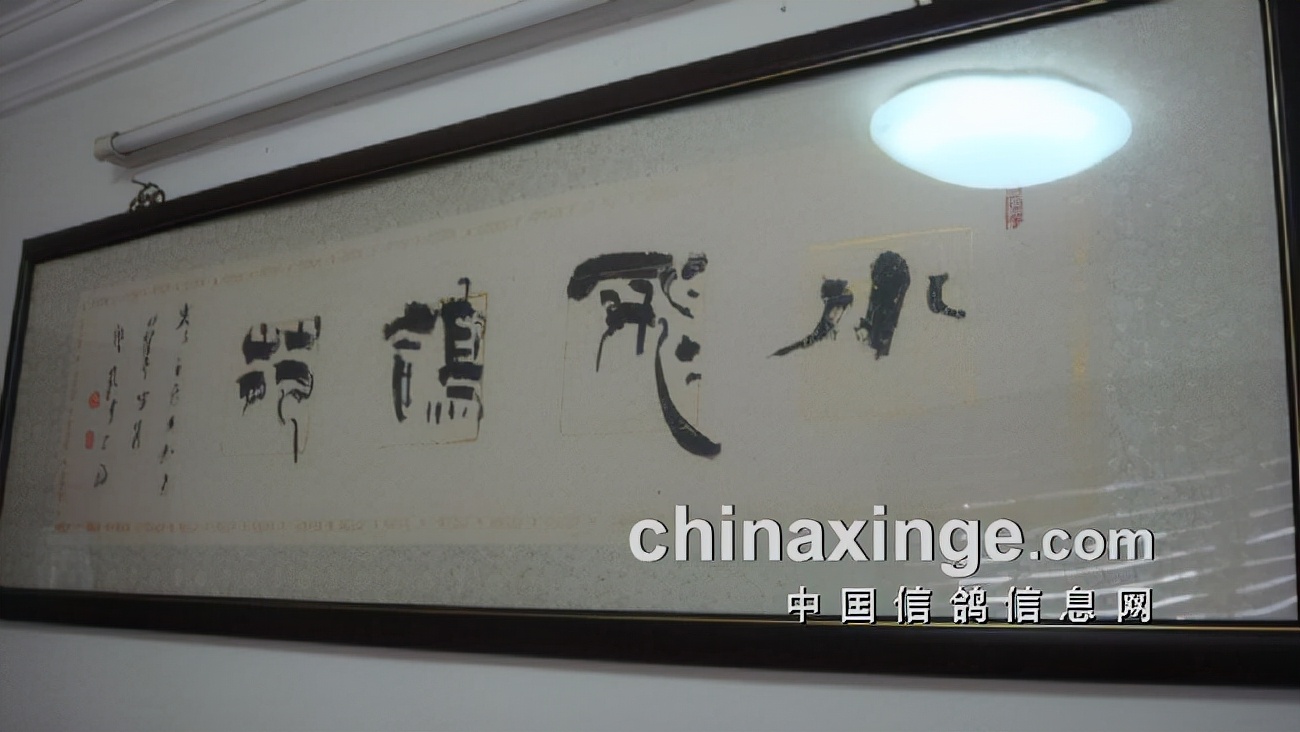 上海七旬老将的光耀：超远程结硕果公棚斩佳绩