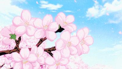 简阳的好初中有哪些,简阳好学校