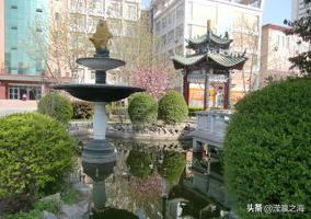 我和我同桌女生版,我和我的同桌样貌不一样