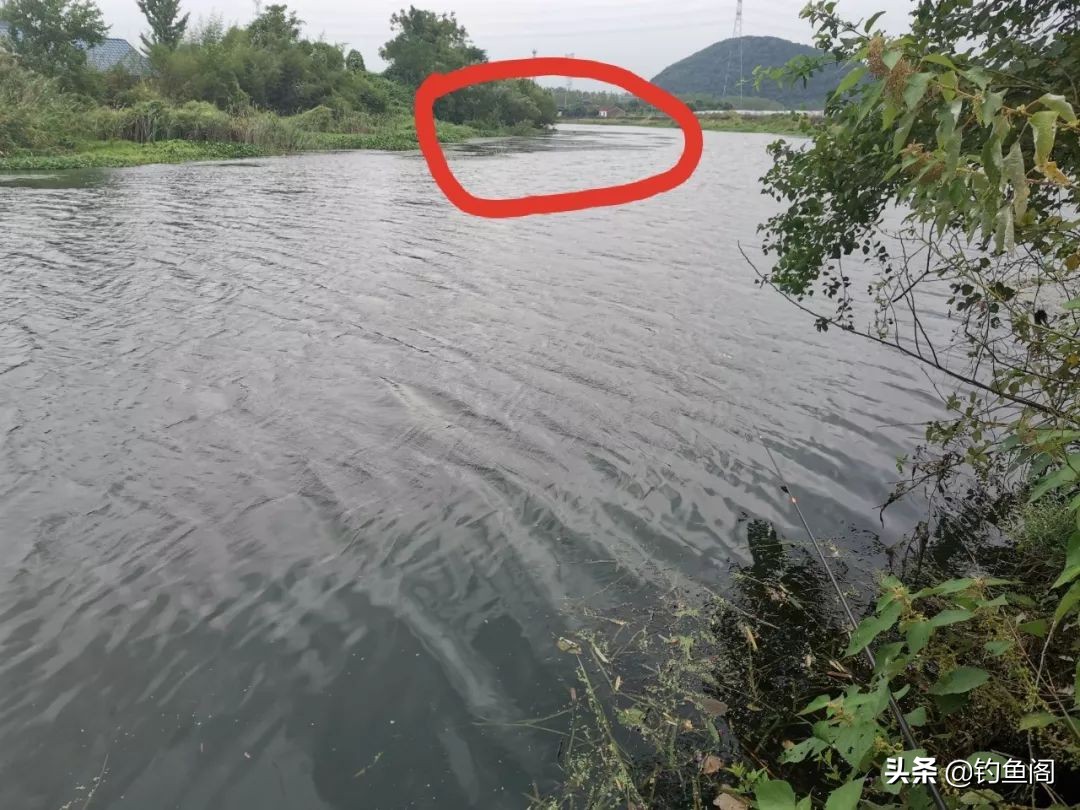 可视鱼钩单钩与双钩哪个中鱼率高,鱼钩单钩与双钩哪个中鱼率高