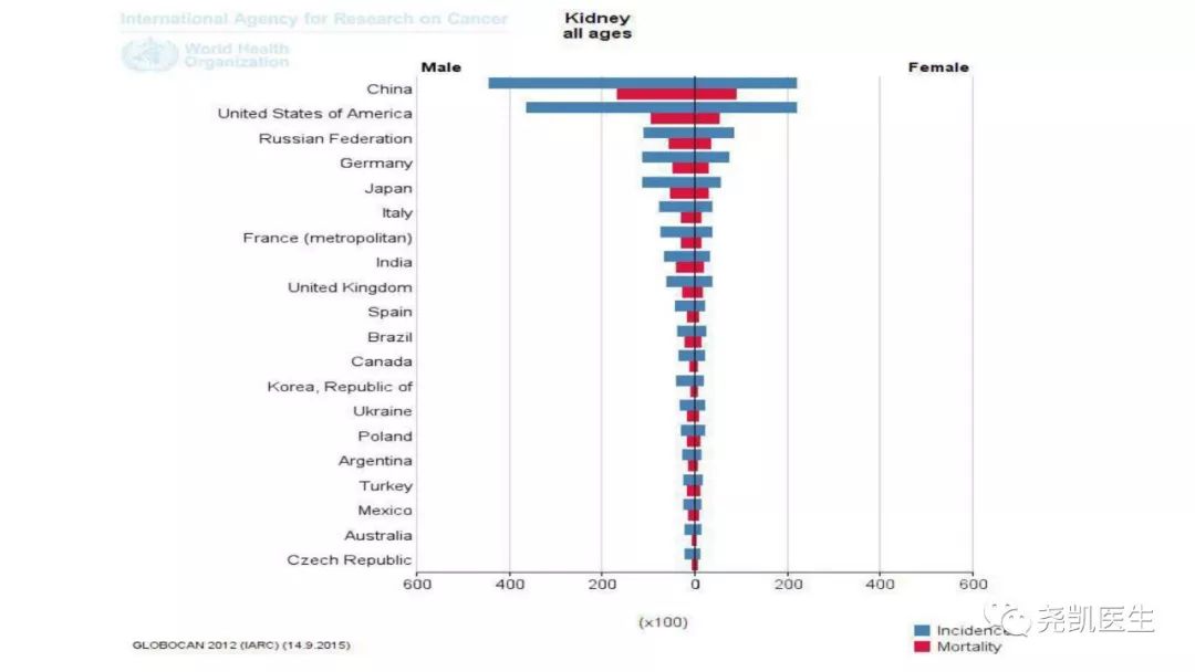 肾脏有包块饮食应注意什么,肾包块是什么