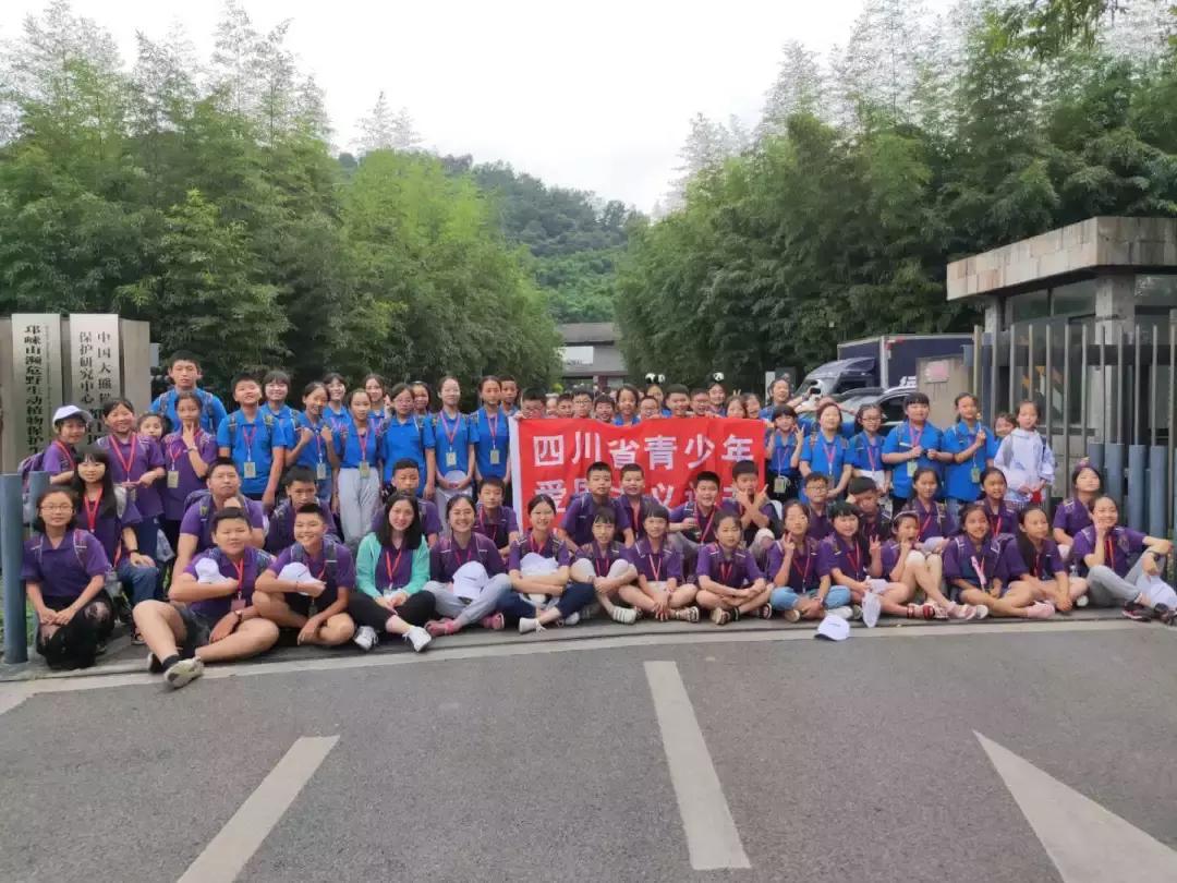 讲解大熊猫,大熊猫科普上课