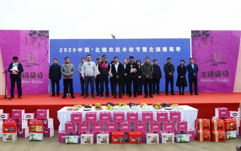 锦州新闻2019,锦州今日要闻