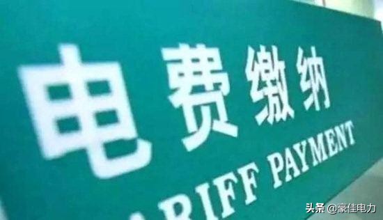 网上国网电费户号是几位数,网上交电费显示户号错误